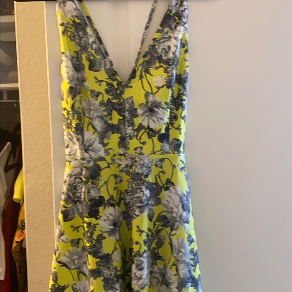 Nordstrom floral skater dress